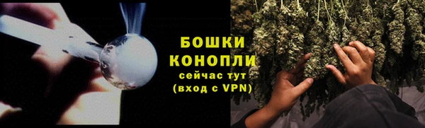 ПСИЛОЦИБИНОВЫЕ ГРИБЫ Лиски