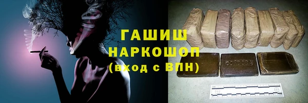 хмурый Магас