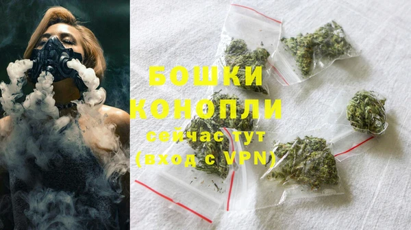 ПСИЛОЦИБИНОВЫЕ ГРИБЫ Лиски