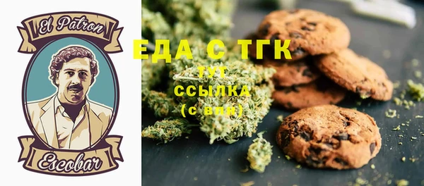 хмурый Магас