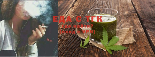 хмурый Магас